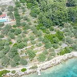 Nina Plitvine Vela Luka