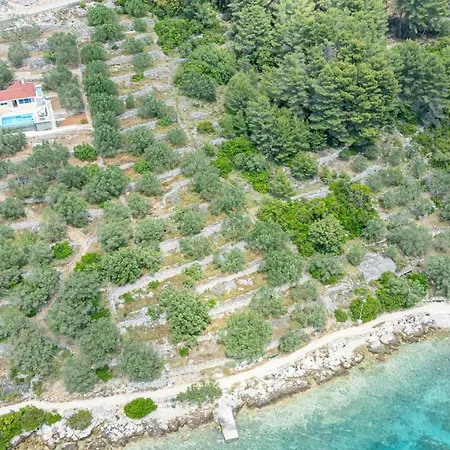 Nina Plitvine Vela Luka